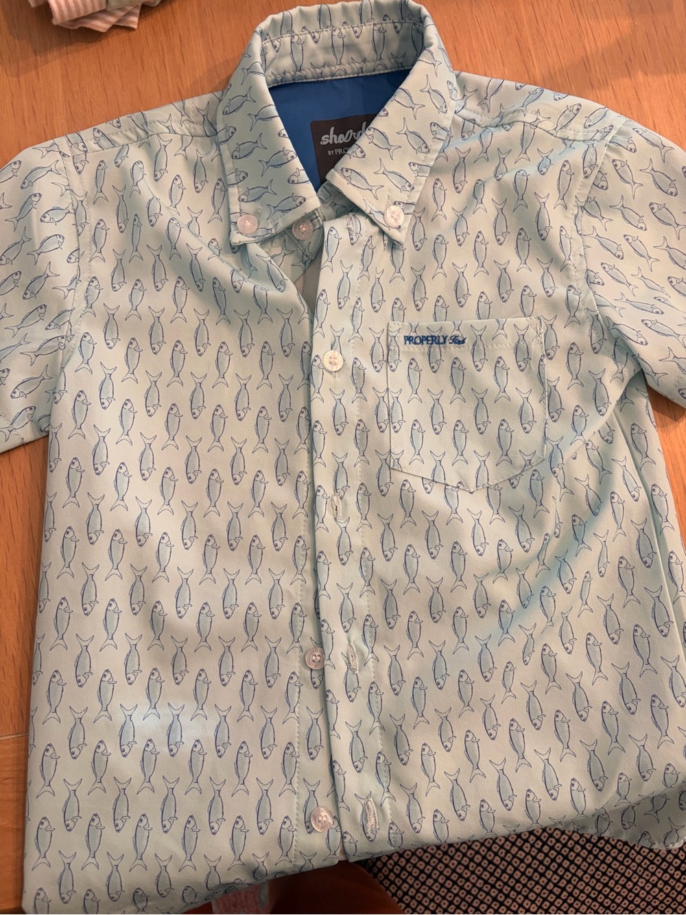 Boys Properly Tied Button Down - 4T